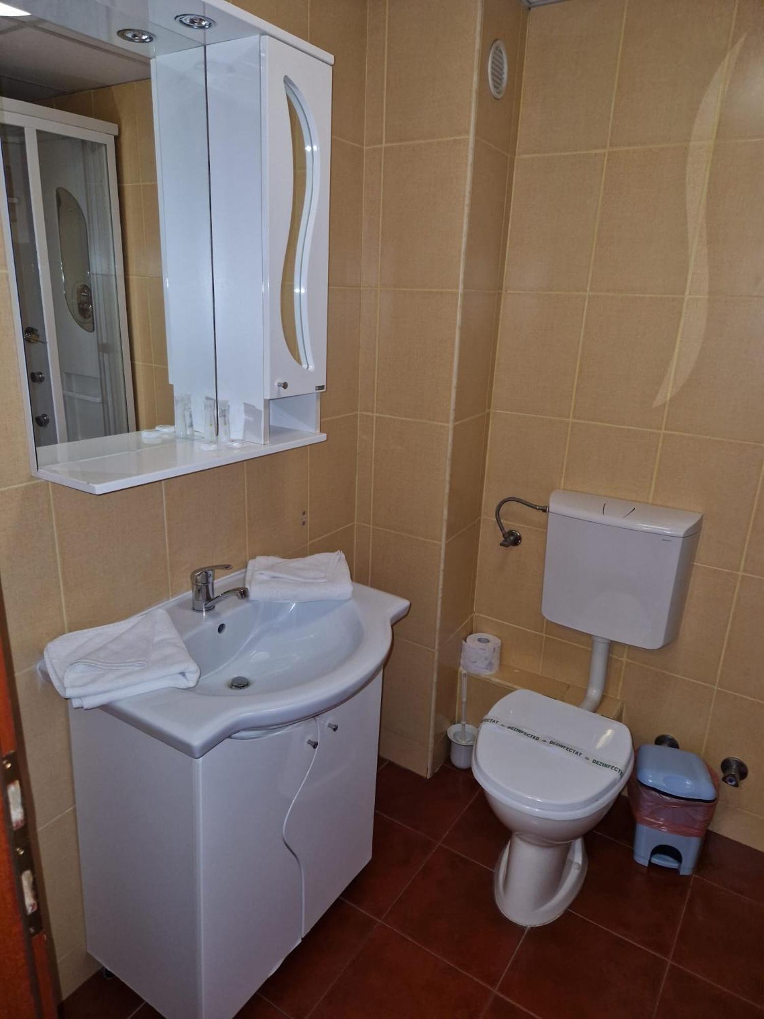 Hotel Francesca Тимишоара Экстерьер фото